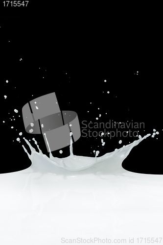 Image of milk splash