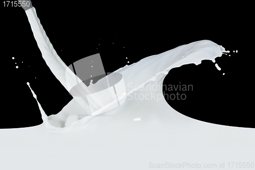 Image of milk splash