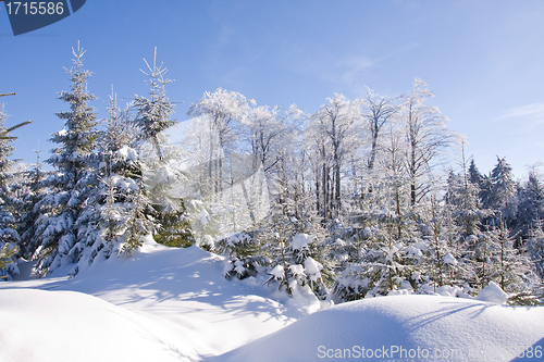 Image of fresh snow in the mountains