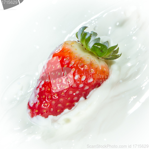 Image of strawberry splashing into milk