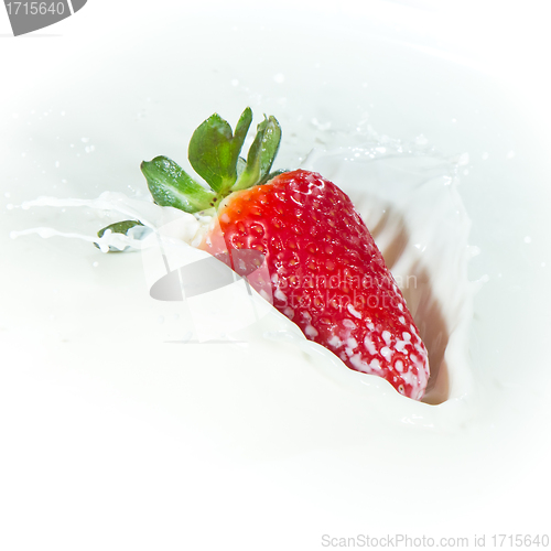 Image of strawberry splashing into milk