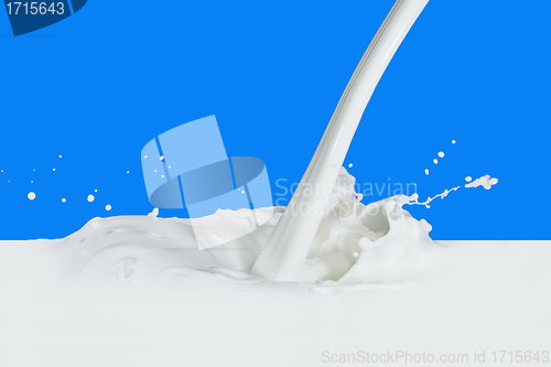 Image of milk splash