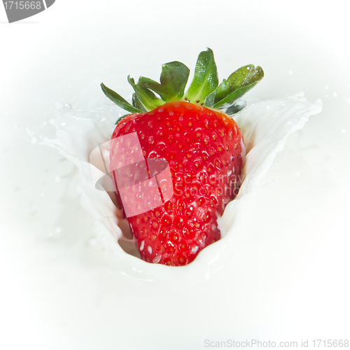 Image of strawberry splashing into milk