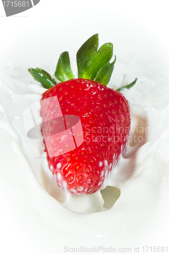 Image of strawberry splashing into milk