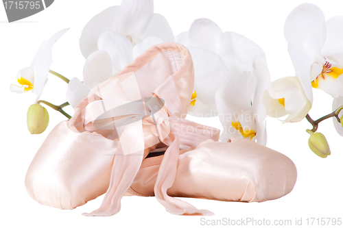 Image of ballet pointes with orchids on isolated white