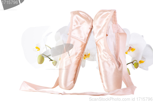 Image of ballet pointes with orchids on isolated white