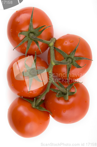 Image of Vine Tomatoes