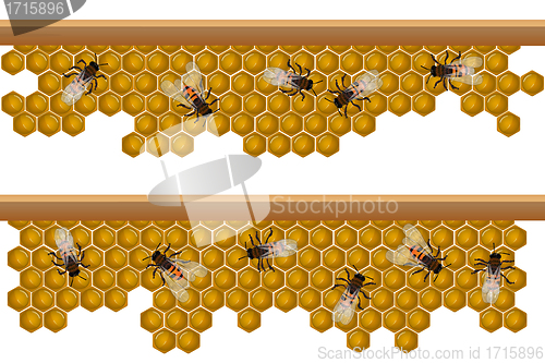 Image of Bee hive pattern