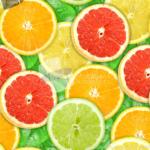 Image of Seamless pattern with motley citrus-fruit slices
