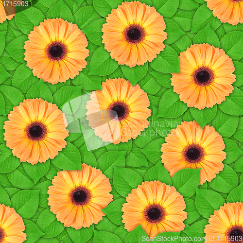 Image of Seamless pattern of orange flowers and leaf