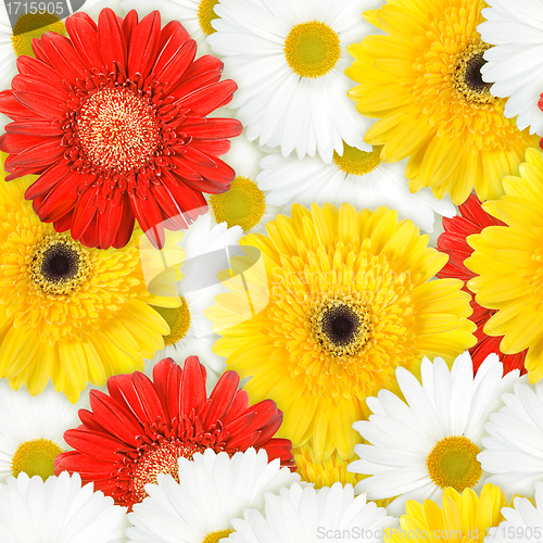 Image of Seamless background of motley flowers