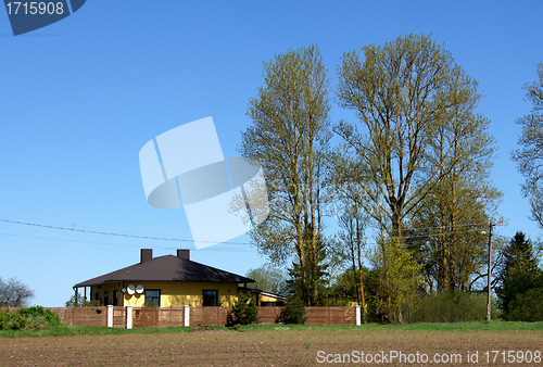Image of The house and tree