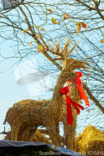 Image of Deers