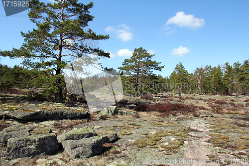 Image of Landscape of rock and forest in Finland