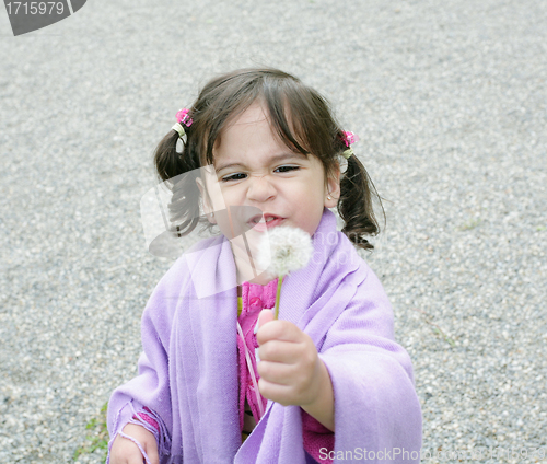 Image of little girl with dandelions 