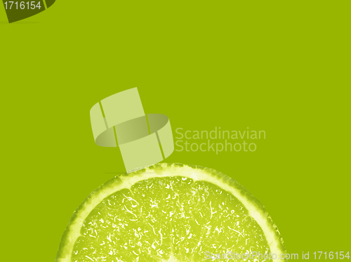 Image of Slice of fresh lime