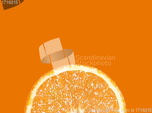 Image of orange slices