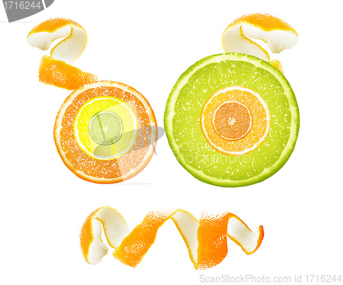 Image of orange slices
