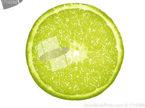 Image of Slice of fresh lime