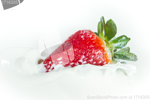 Image of strawberry splashing into milk