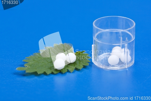 Image of Homeopathic pills on Urtica Urens leaf