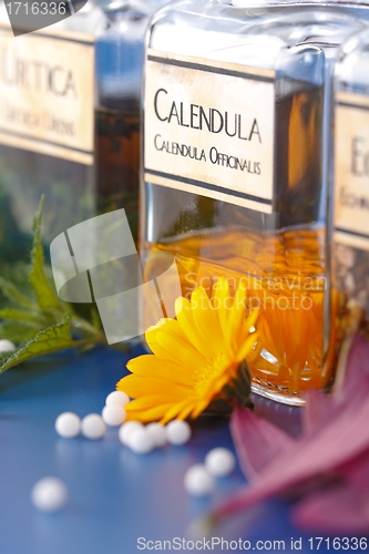 Image of Close view of Calendula Officinalis plant extract