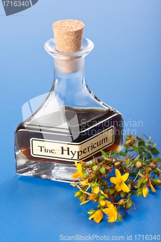 Image of Hypericum plant and extract