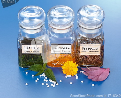 Image of Various plant extract in bottles and homeopathic medication