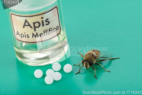 Image of Apis Mellifica homeopathic pills, poison and bee