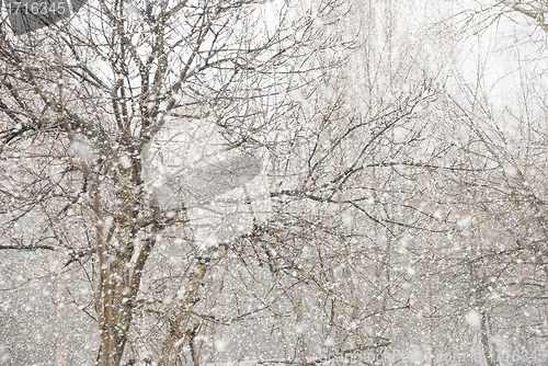 Image of first snow fell in the empty park