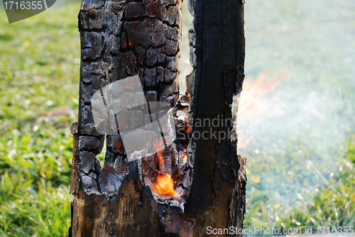 Image of smouldering tree trunk burned out in the middle