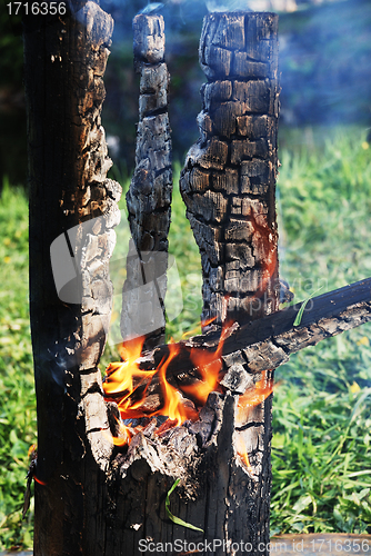 Image of smouldering tree trunk burned out in the middle