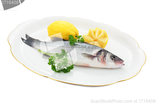 Image of Fresh sea bass