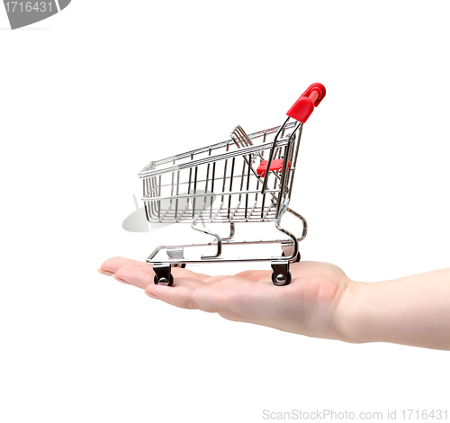 Image of Shopping Cart on Hand