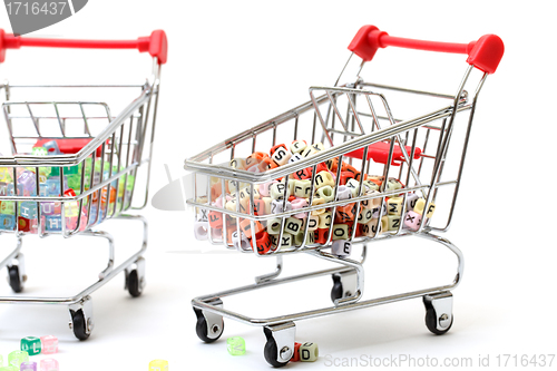 Image of Shopping Carts