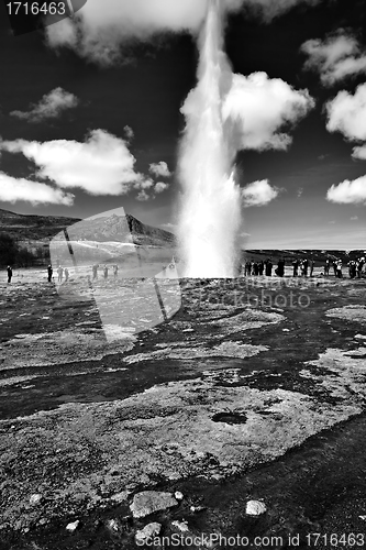 Image of Icelandic Geyser