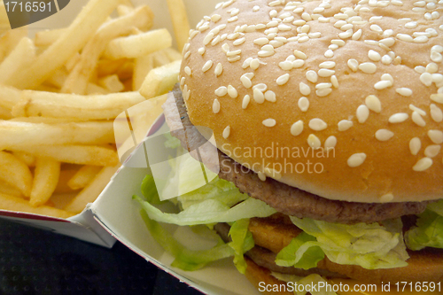 Image of Tasty hamburger with fries, unhealthy food, health concept