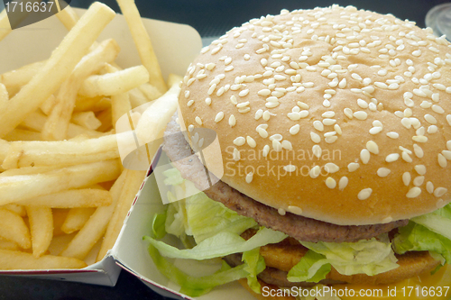 Image of Tasty hamburger with fries, unhealthy food, health concept