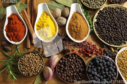 Image of Spices and herbs