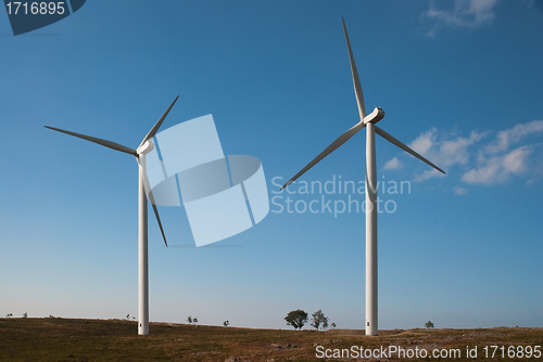 Image of Wind turbines