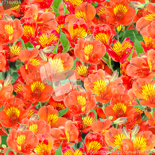 Image of Seamless pattern of orange lily flowers