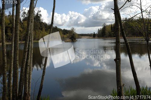 Image of Territory of Beavers