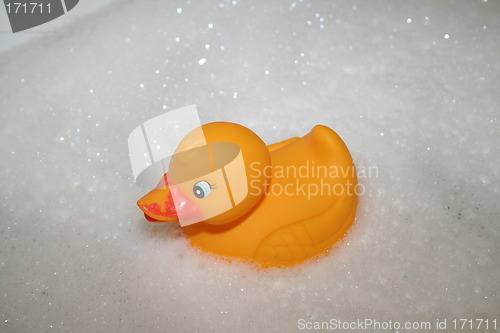 Image of Yellow rubber duck