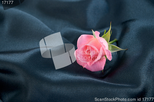 Image of A pink rosebud lying on blue satin