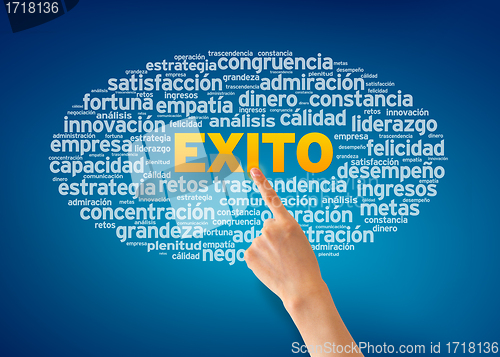 Image of Exito