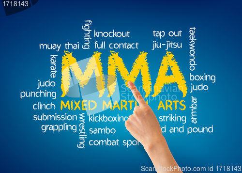 Image of Mixed Martial Arts