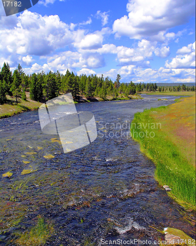 Image of Yellowstone River Scene