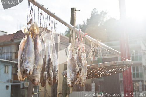 Image of Salted fishes under sunlight