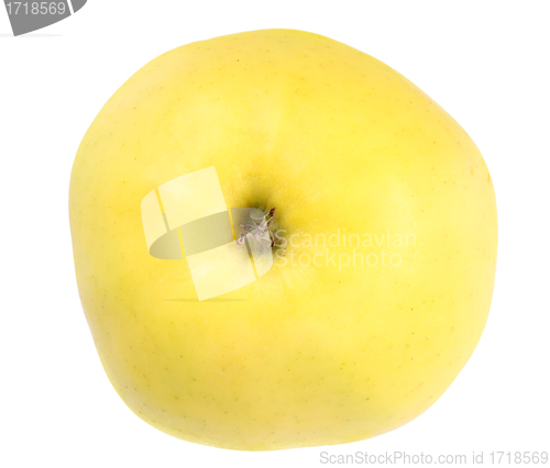 Image of One fresh yellow apple