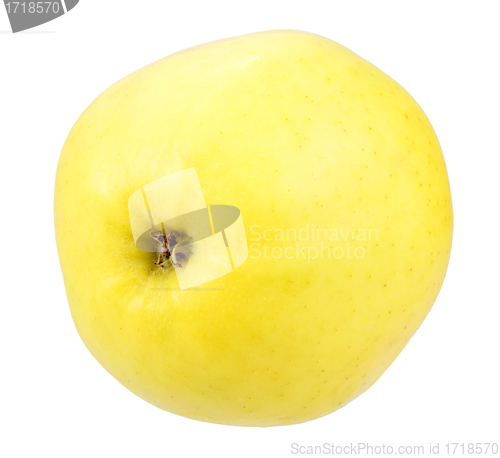 Image of Only fresh yellow big apple